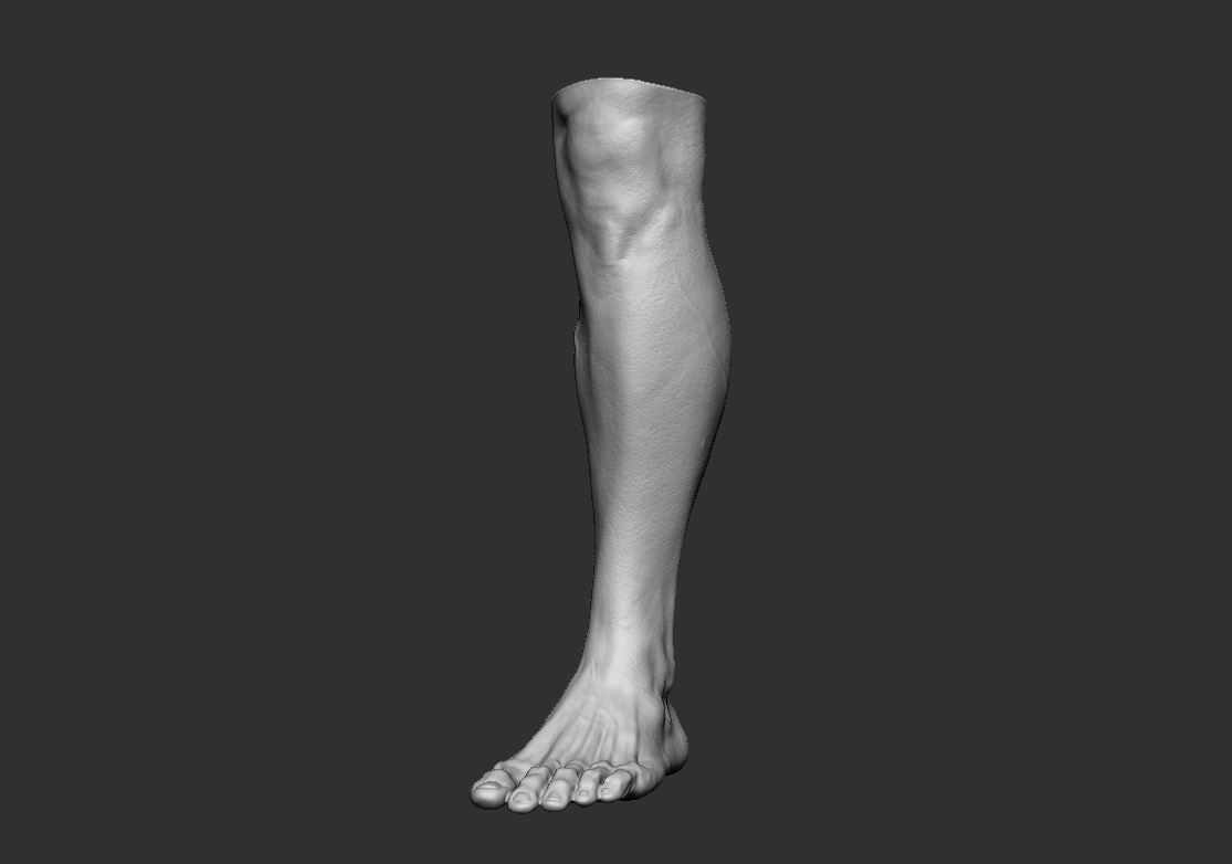 Feet 3d Model 3D print model_5