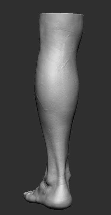 Feet 3d Model 3D print model_7