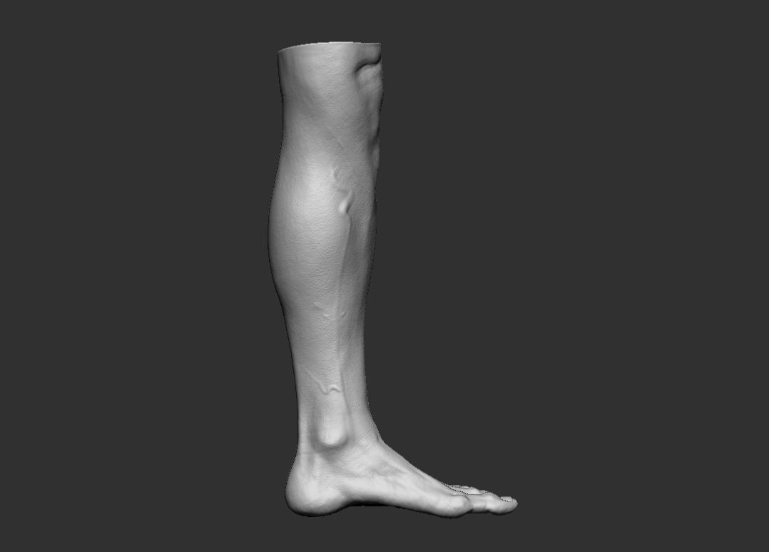 Feet 3d Model 3D print model_2