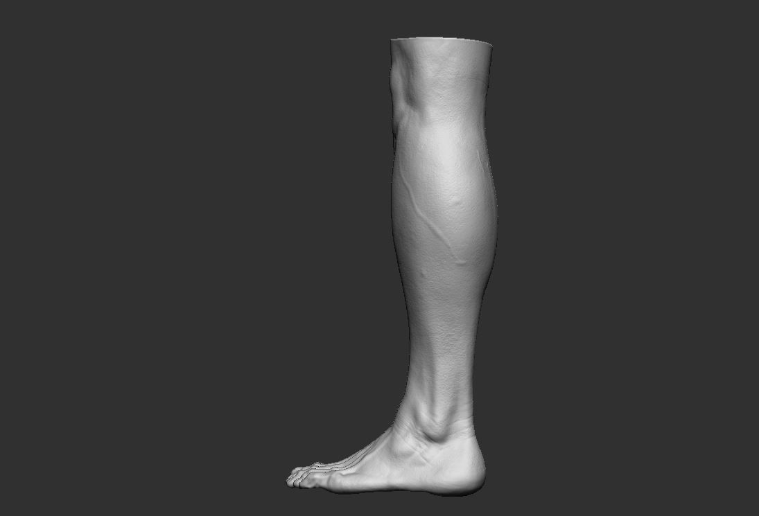 Feet 3d Model 3D print model_4