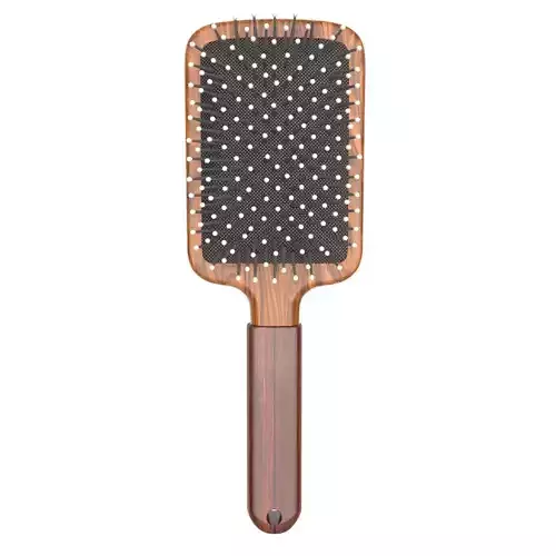 Hair Brush