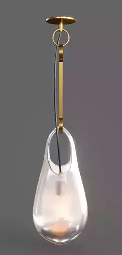 Hold Ceiling Mounted Pendant Light