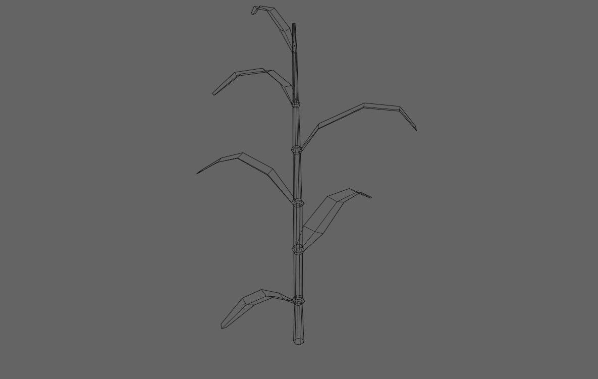 Corn - Plant - Milho - Planta Low-poly 3D model_16