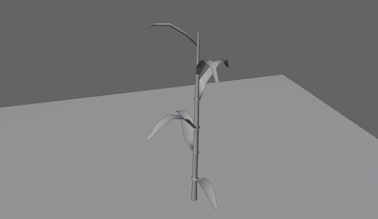 Corn - Plant - Milho - Planta Low-poly 3D model_13