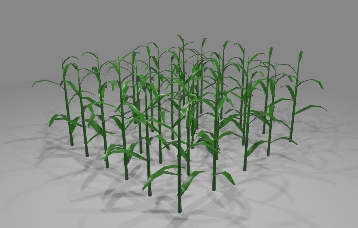 Corn - Plant - Milho - Planta Low-poly 3D model_2