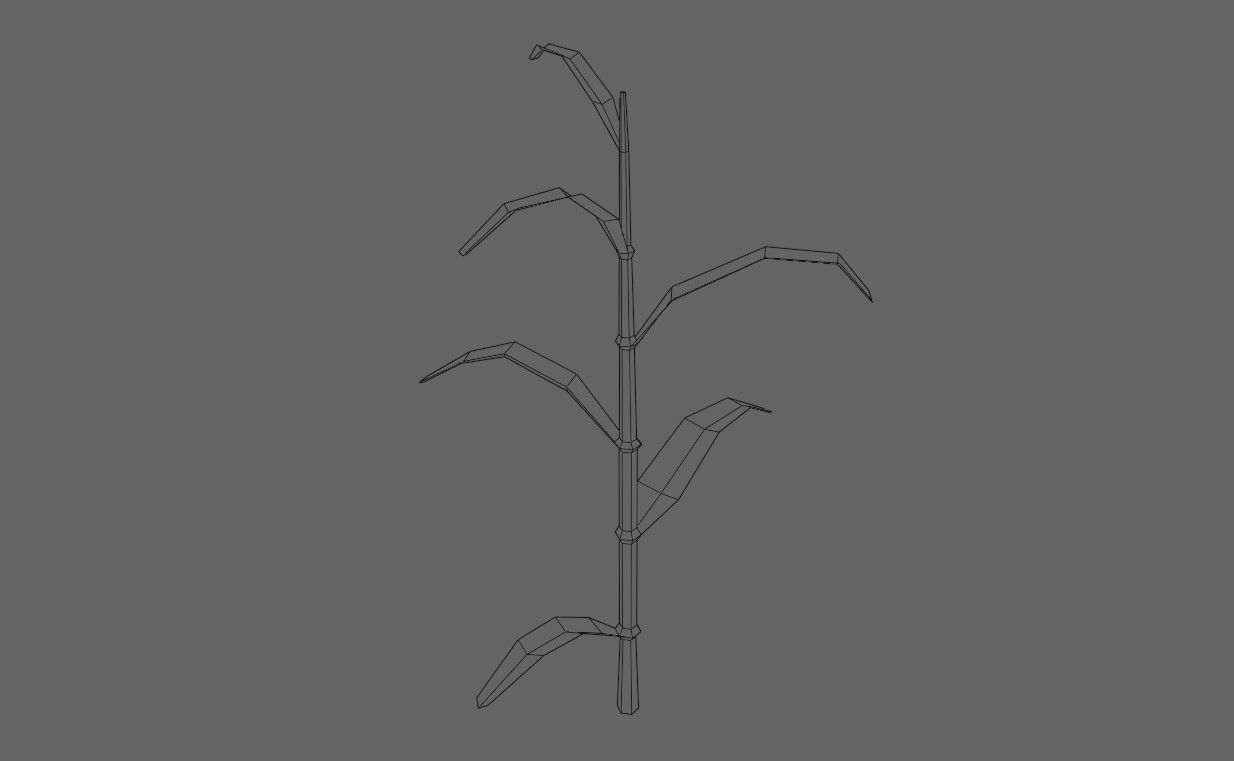 Corn - Plant - Milho - Planta Low-poly 3D model_5