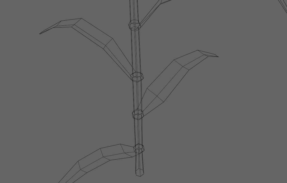 Corn - Plant - Milho - Planta Low-poly 3D model_17