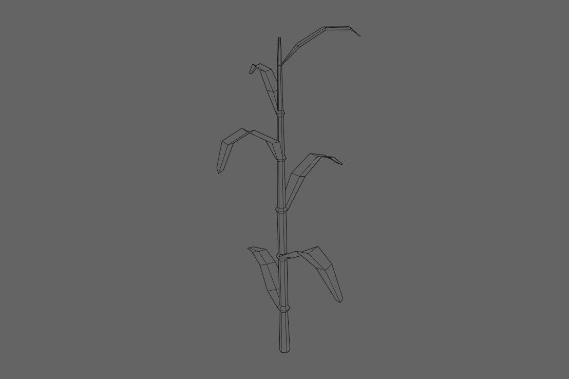 Corn - Plant - Milho - Planta Low-poly 3D model_14