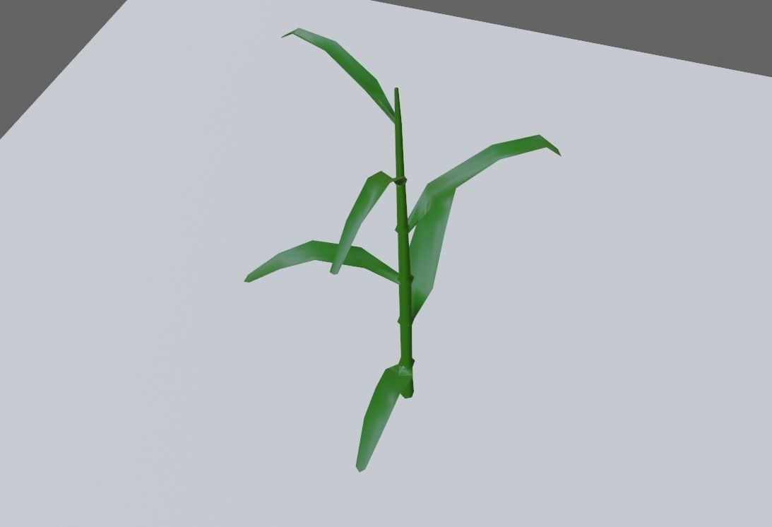 Corn - Plant - Milho - Planta Low-poly 3D model_7