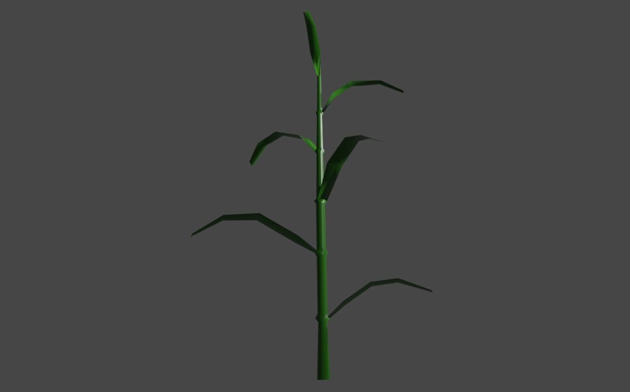 Corn - Plant - Milho - Planta Low-poly 3D model_10