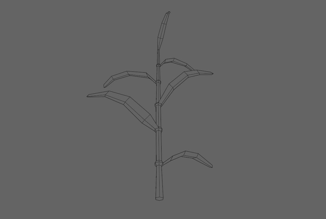 Corn - Plant - Milho - Planta Low-poly 3D model_15