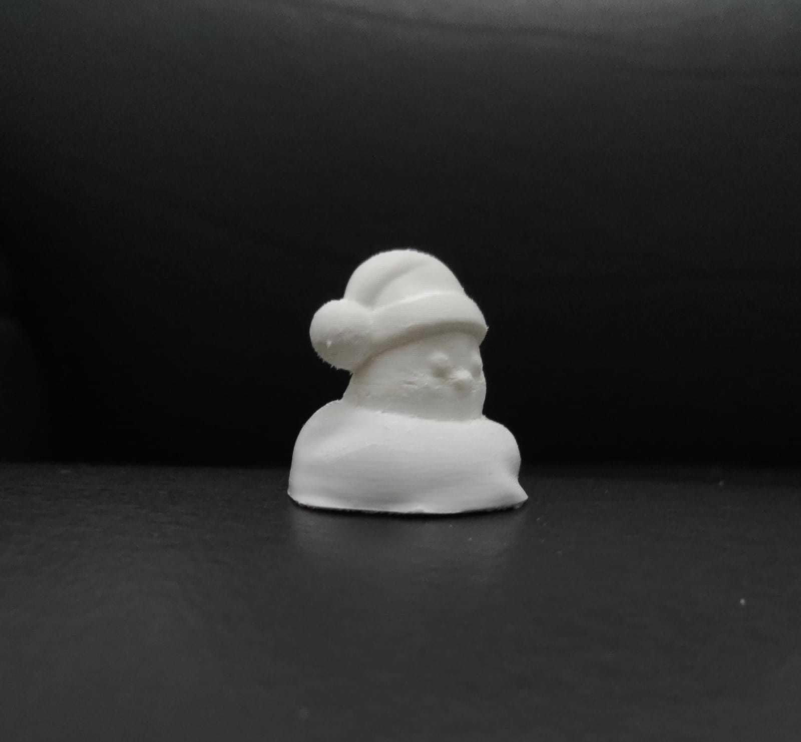Xmas Bird 3D print model_7