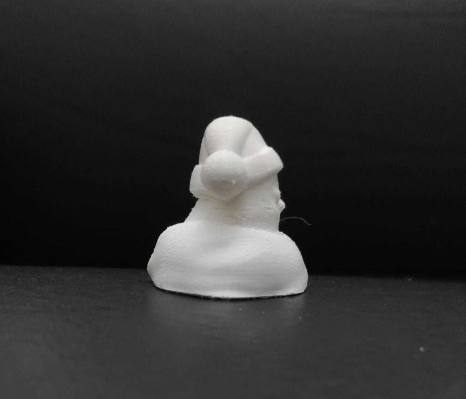 Xmas Bird 3D print model_6