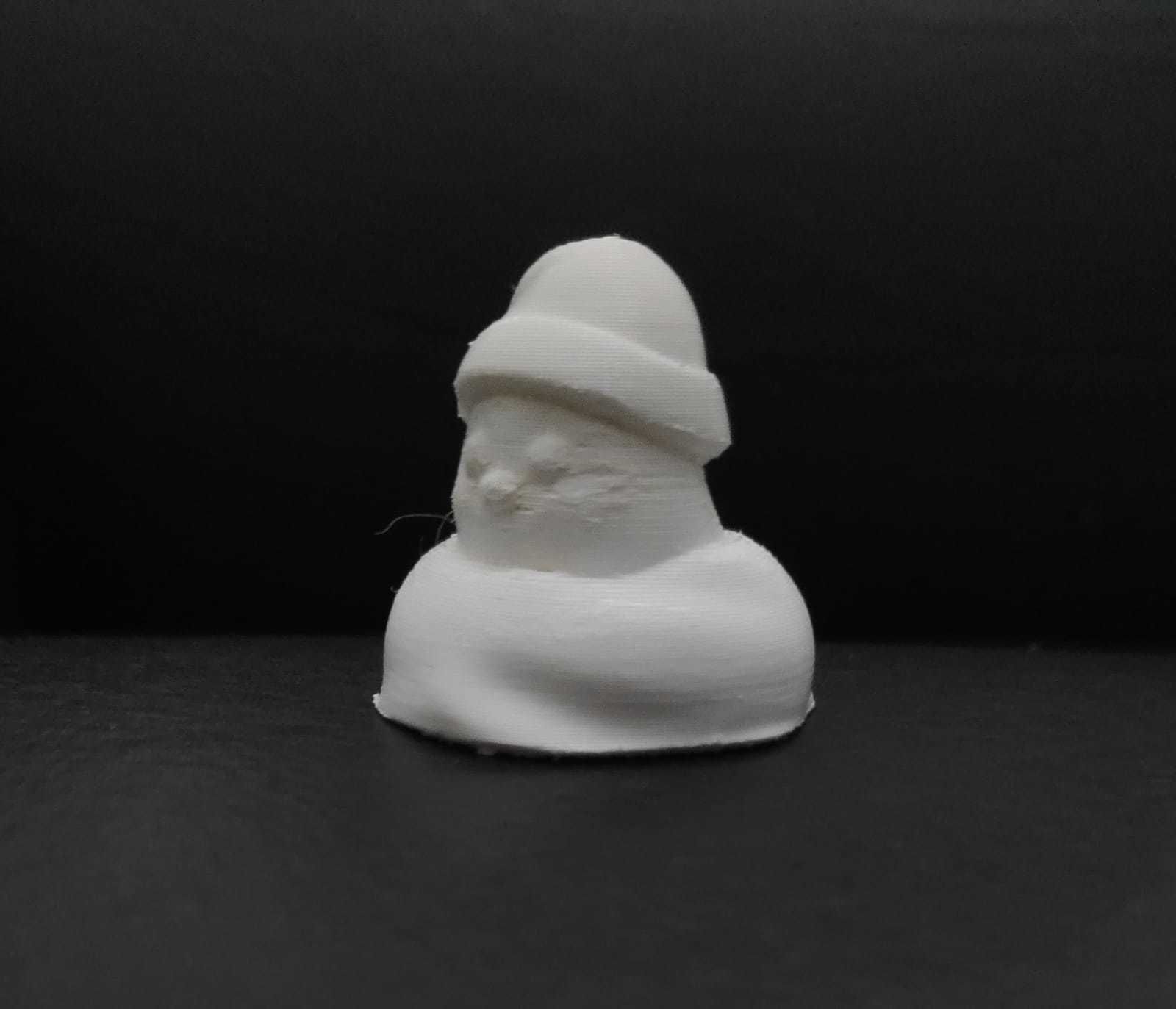 Xmas Bird 3D print model_9
