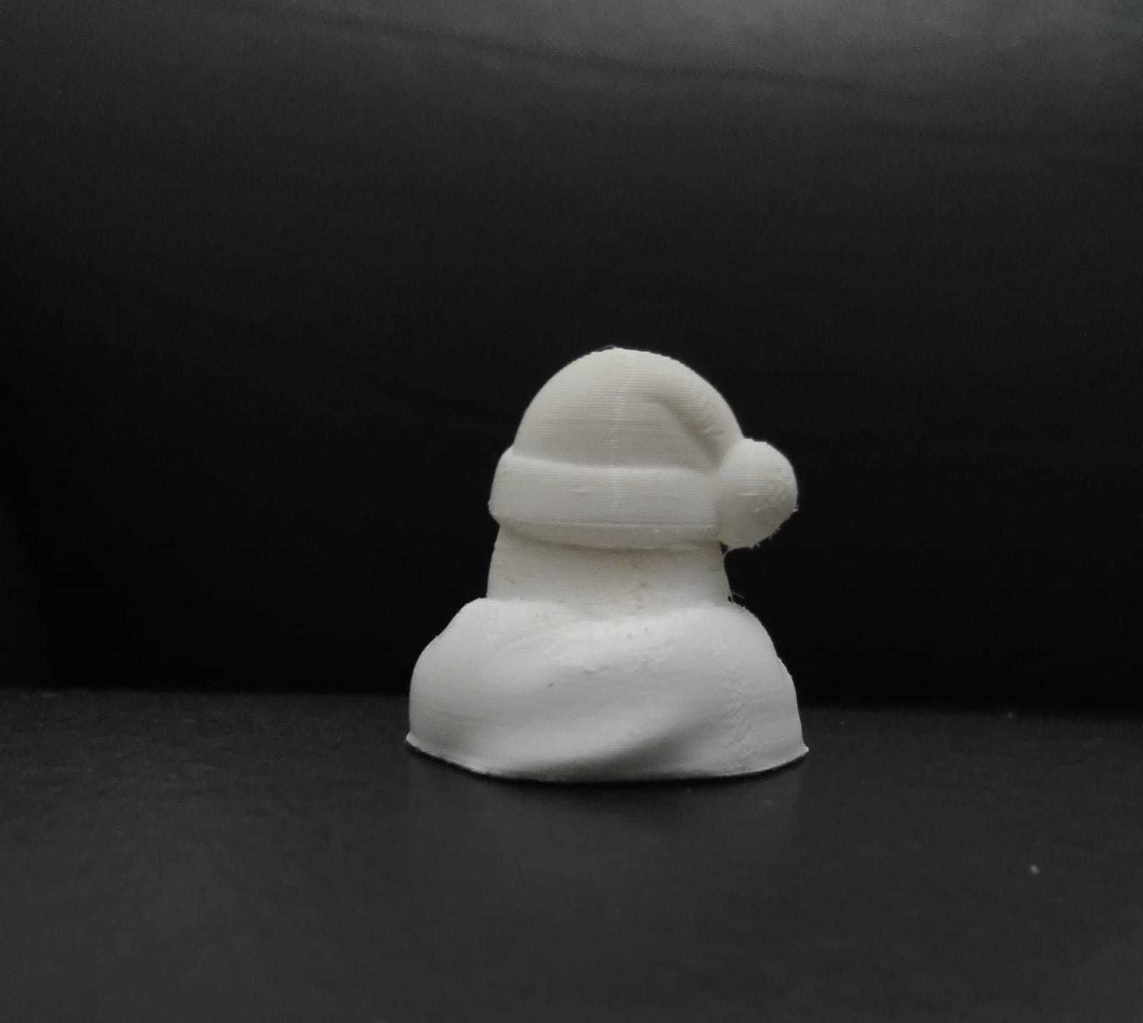 Xmas Bird 3D print model_5