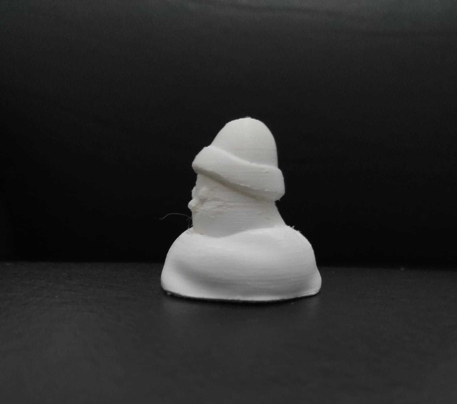 Xmas Bird 3D print model_4