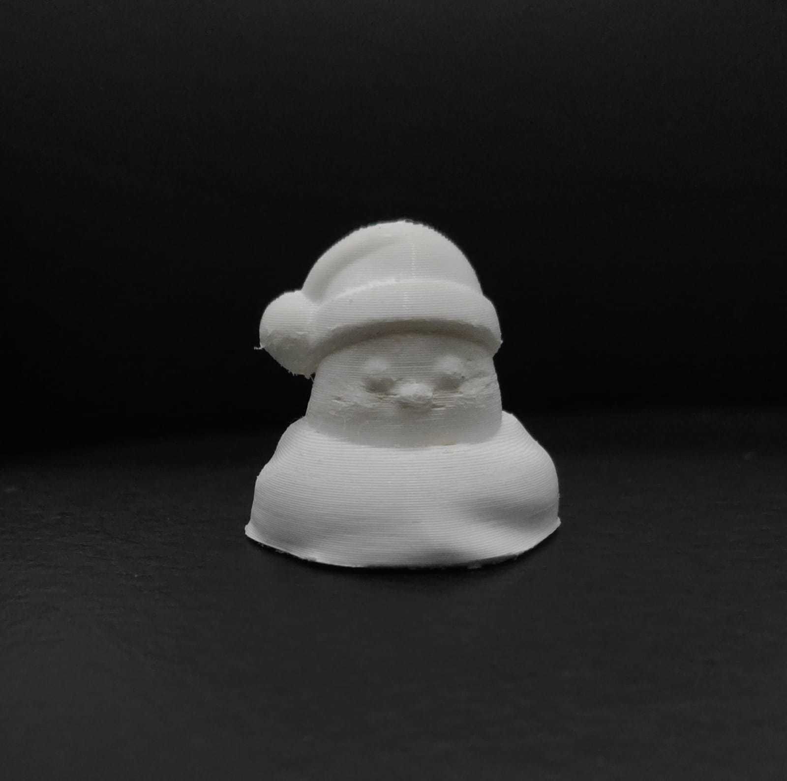 Xmas Bird 3D print model_3