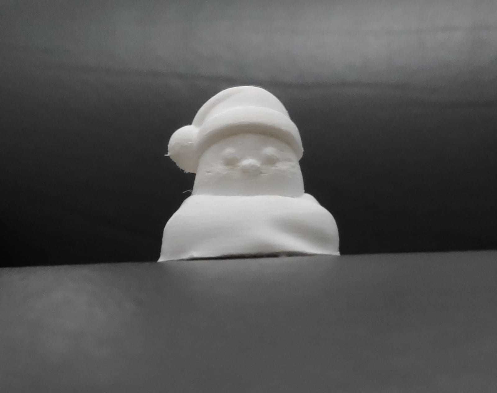 Xmas Bird 3D print model_8