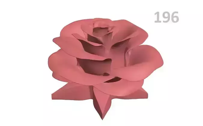 P196-rose rose