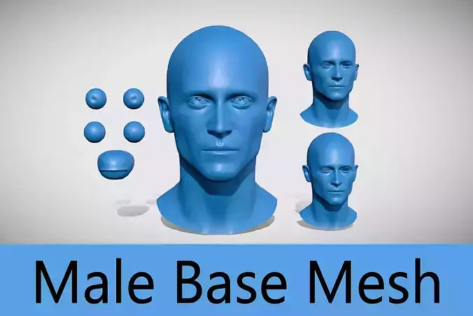 Male Base Mesh