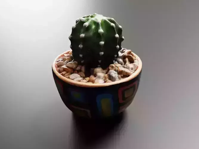 Potted Cactus 3D model