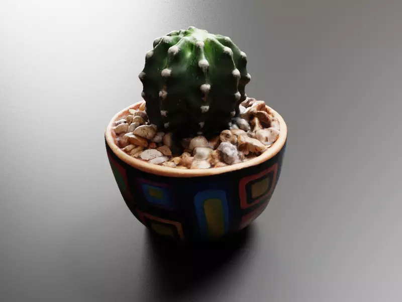 Potted Cactus 3D model_0