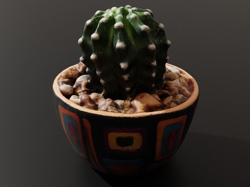 Potted Cactus 3D model_2