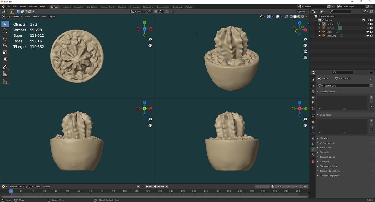 Potted Cactus 3D model_5
