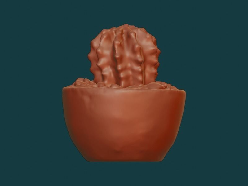 Potted Cactus 3D model_3