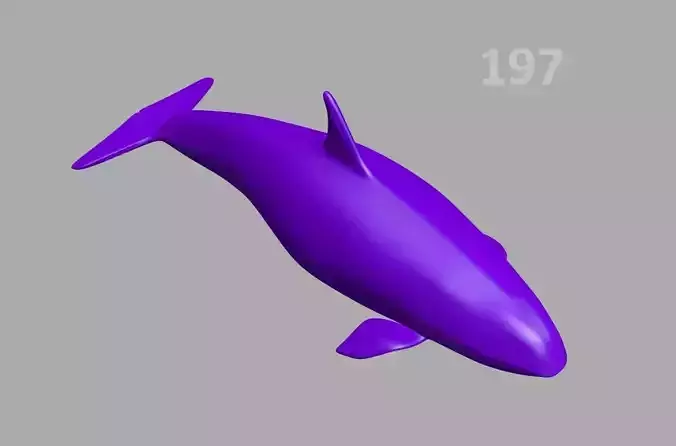 197P-Orca whale