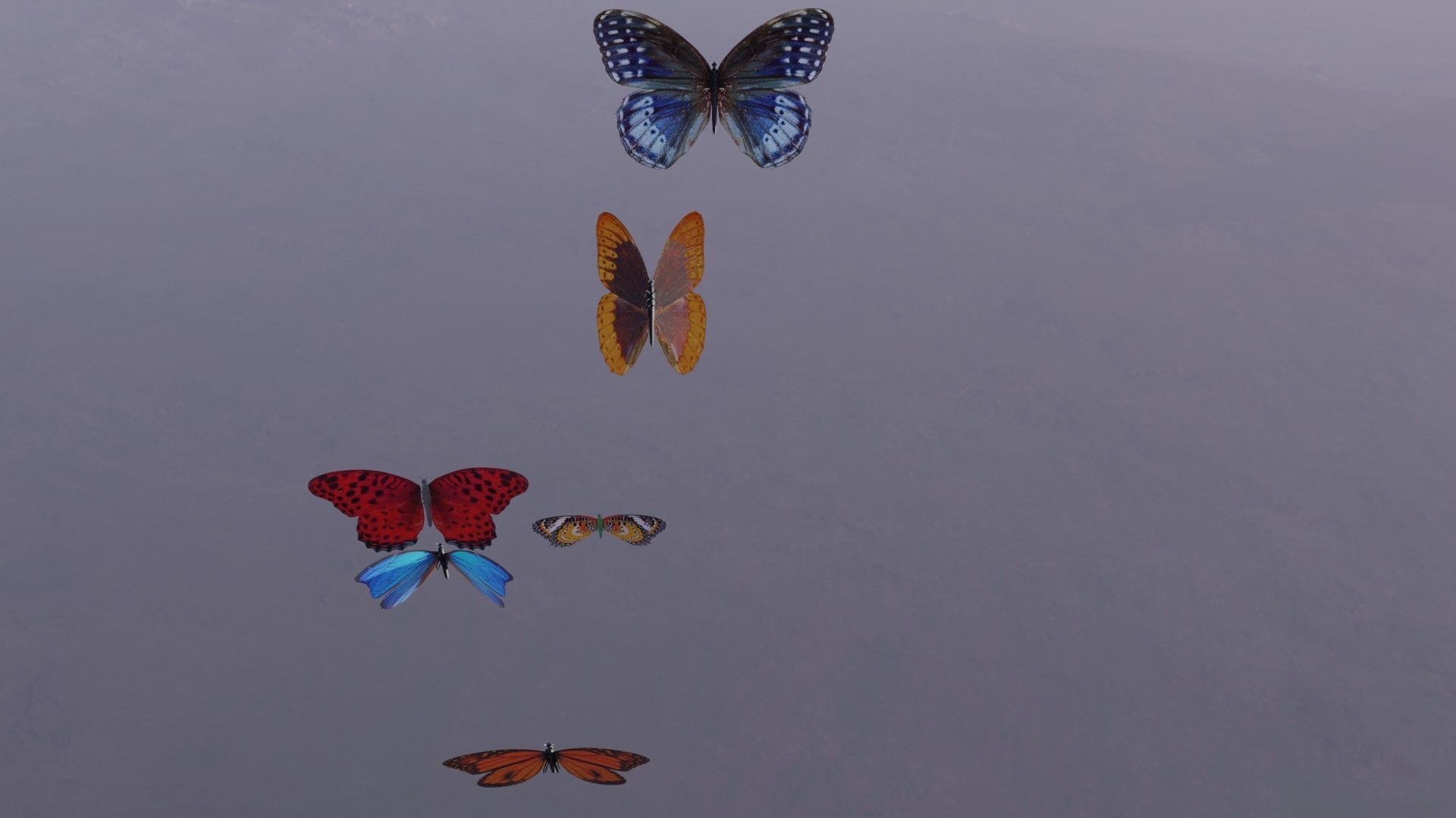 Butterflies Low-poly 3D model_3