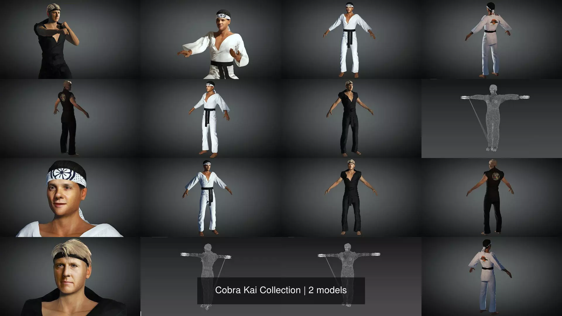 Cobra Kai Collection _1