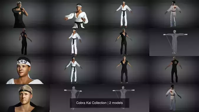 Cobra Kai Collection