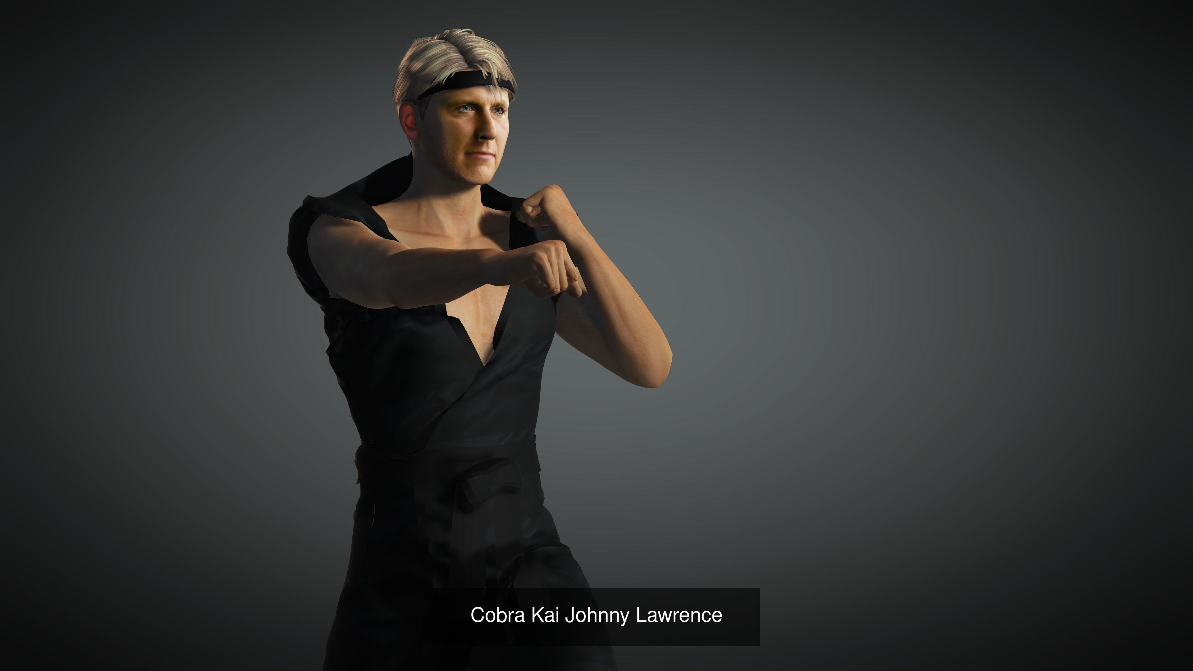 Cobra Kai Collection _2