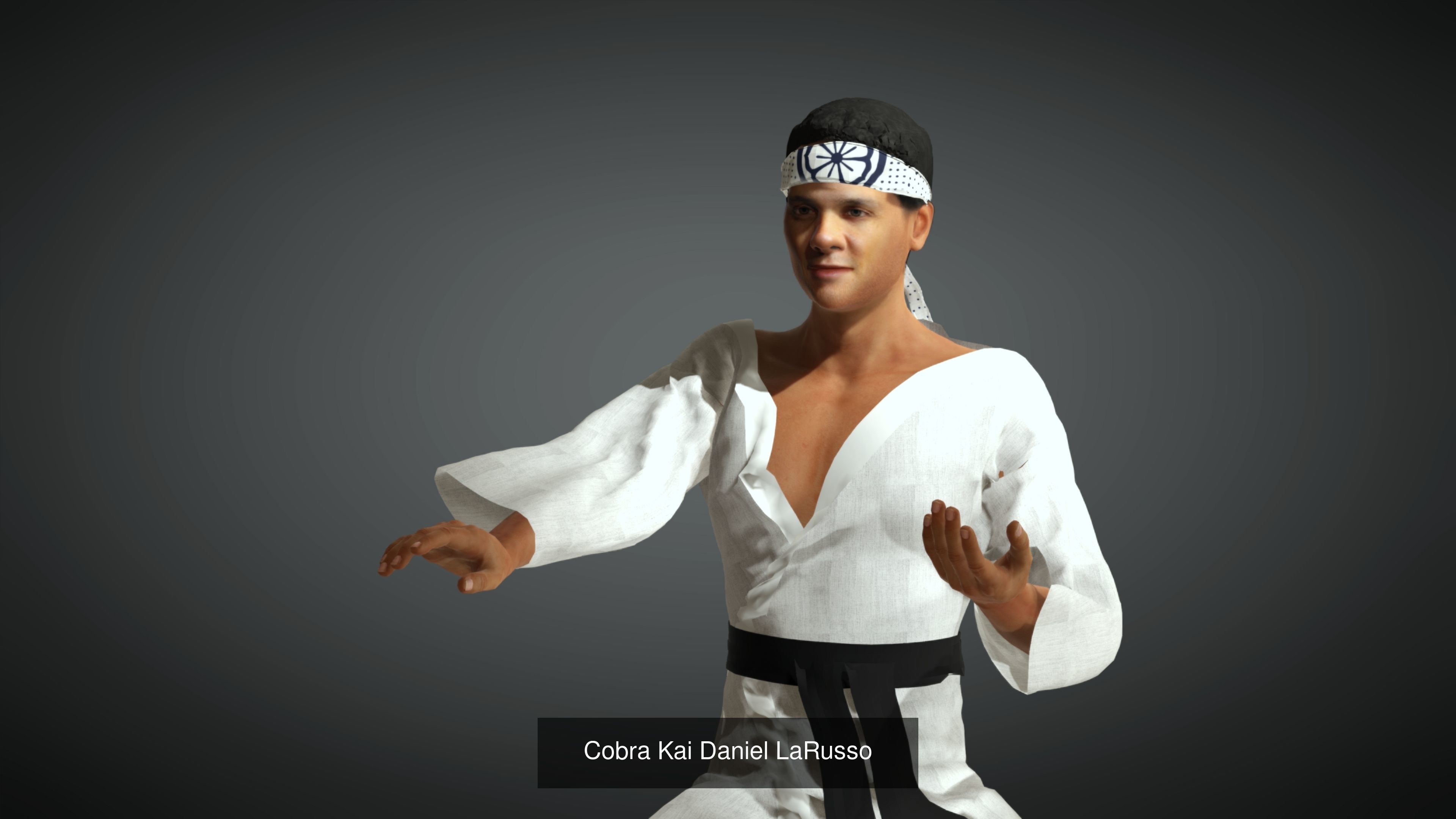 Cobra Kai Collection _3