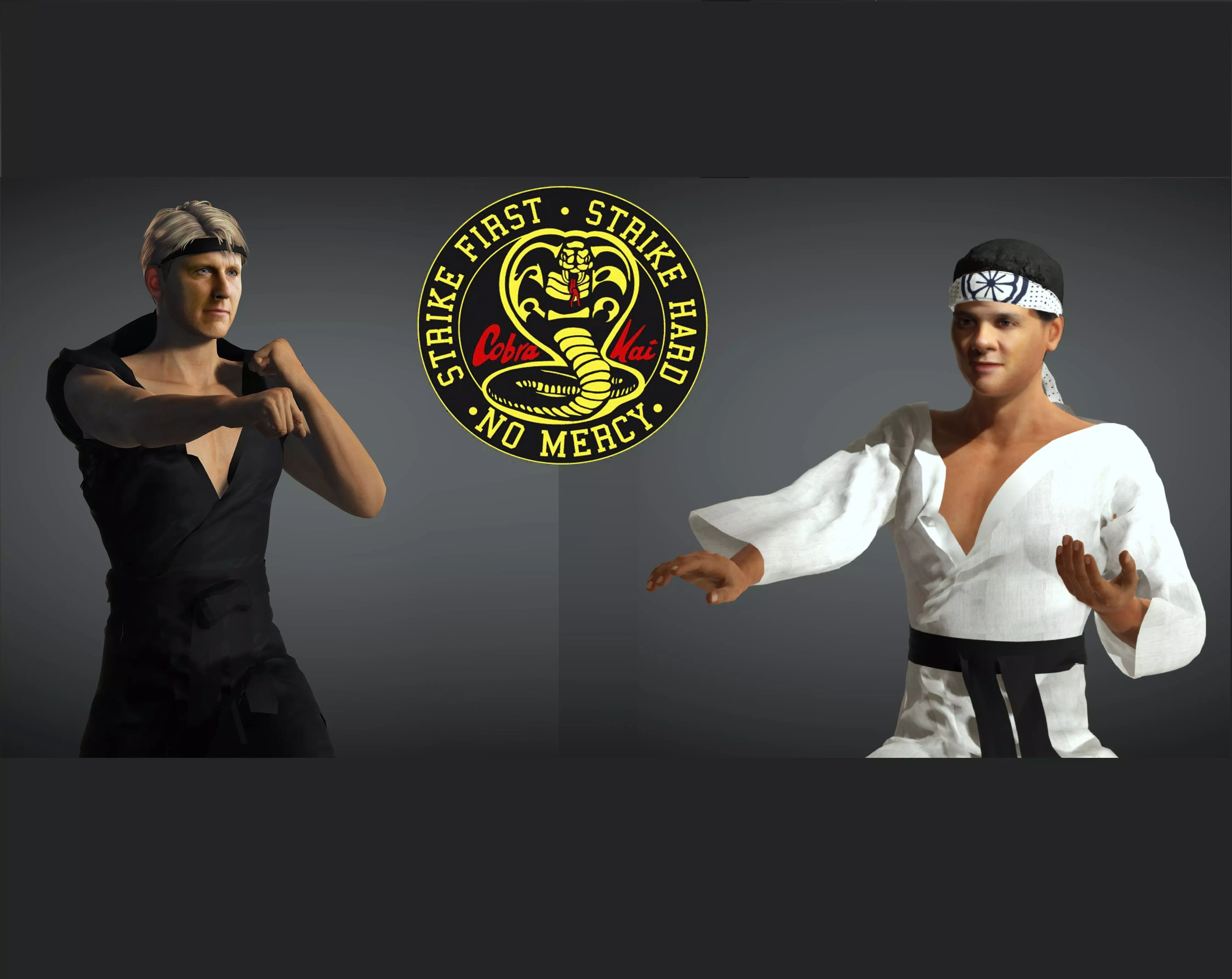 Cobra Kai Collection _0