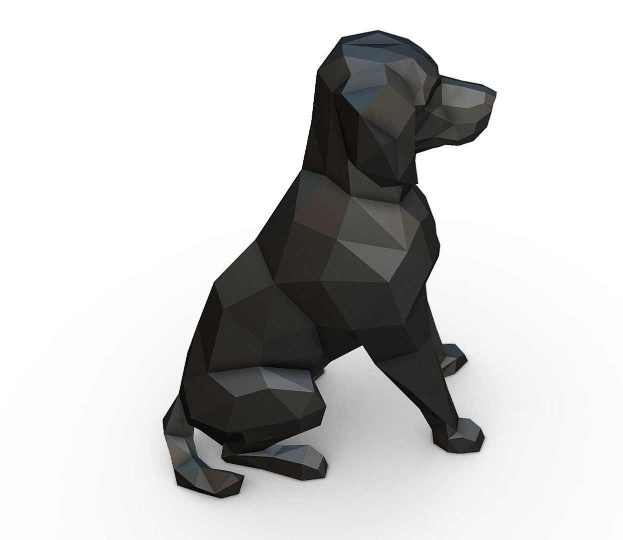 Brittany Spaniel  Epagneul Breton 3D print model_4