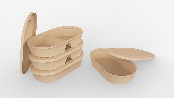 Biodegradable Disposable Lunch Box 3D model