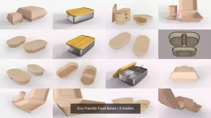 Eco Friendly Food Boxes 3D Model Collection