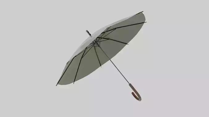 Umbrella with wooden handle