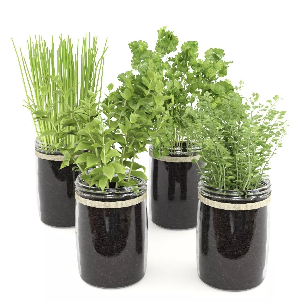 Kitchen Plants Set04 3D model