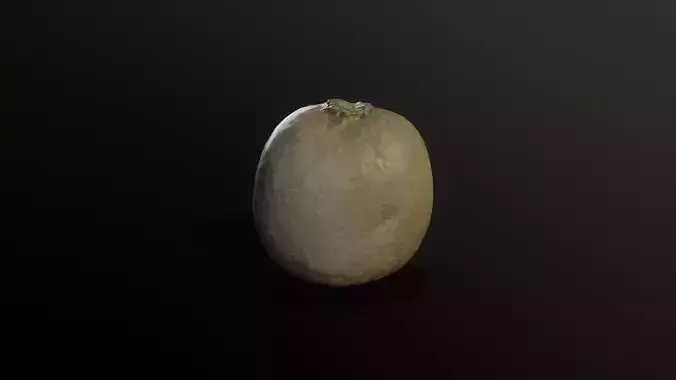 3D Scan Kiwi