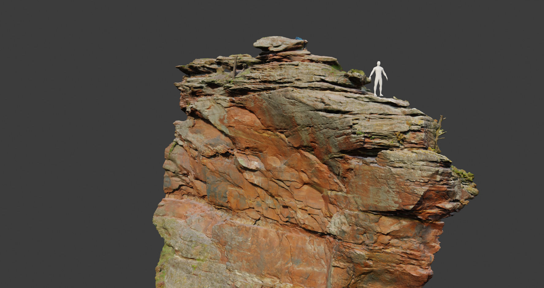 PBR Rocks Stone Forest Cliff Big Drone scan 3D model_1