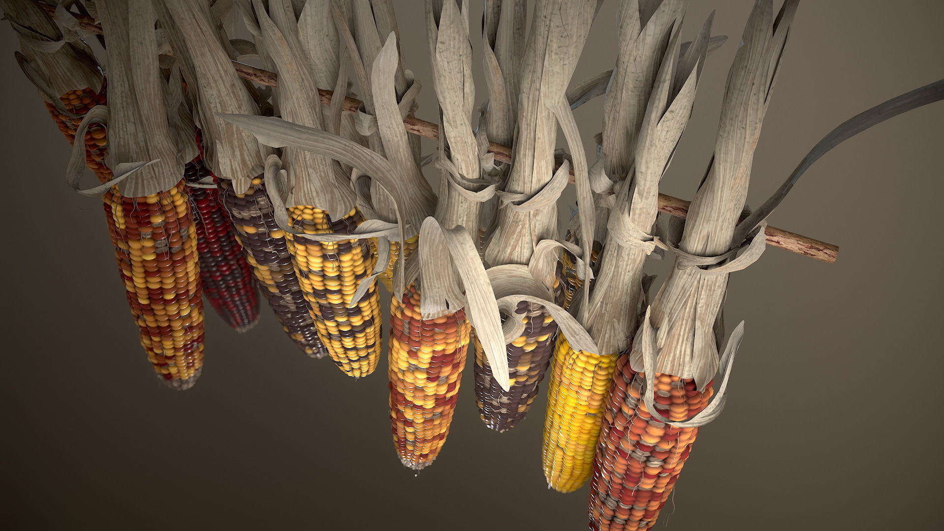 Multicolored Corn 3D model_4