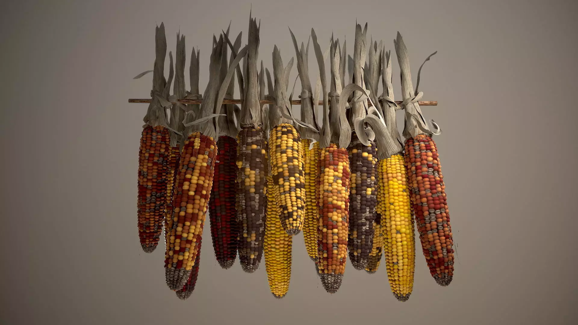 Multicolored Corn 3D model_0