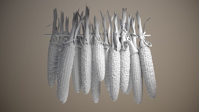 Multicolored Corn 3D model 5
