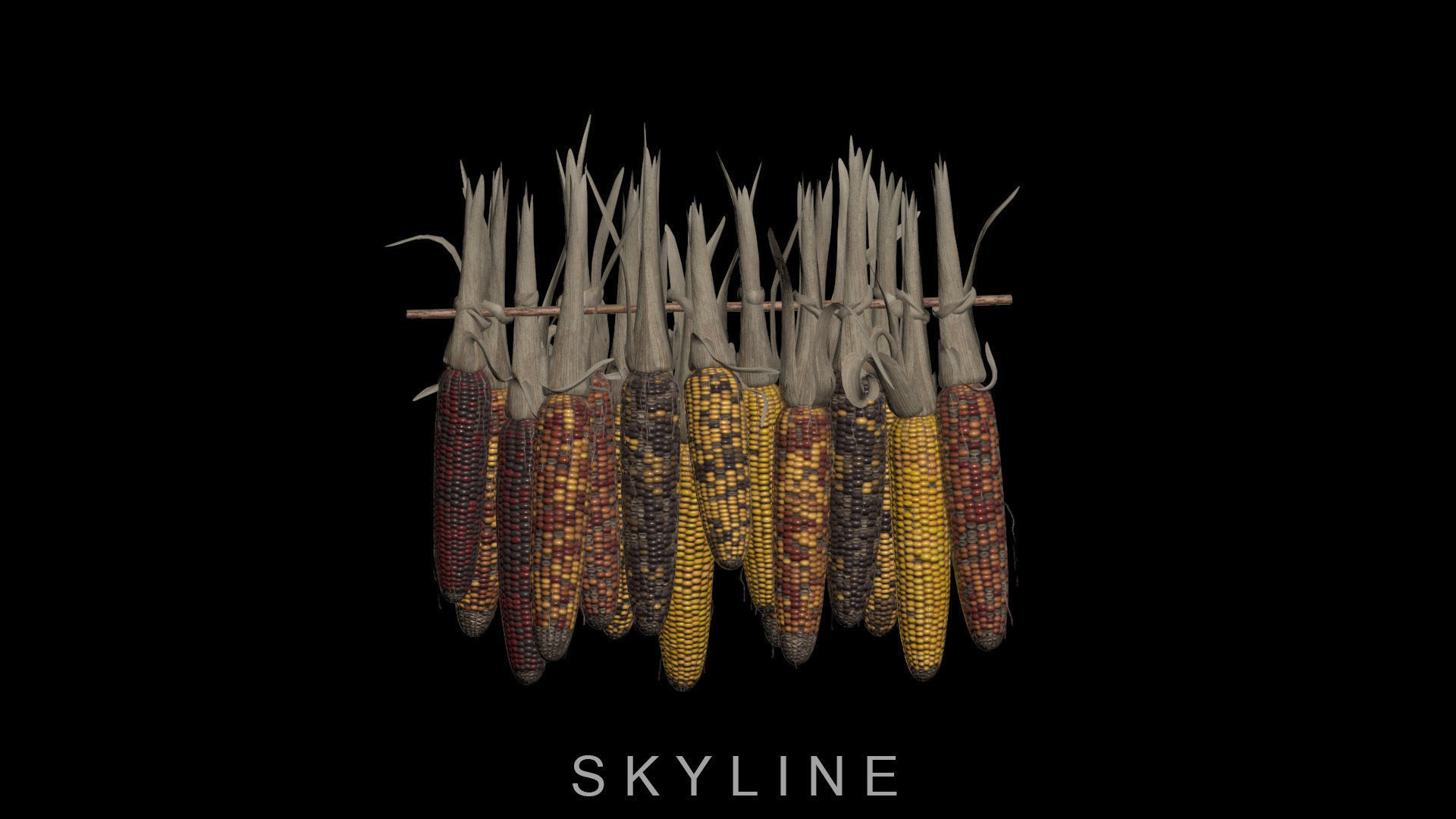 Multicolored Corn 3D model_8