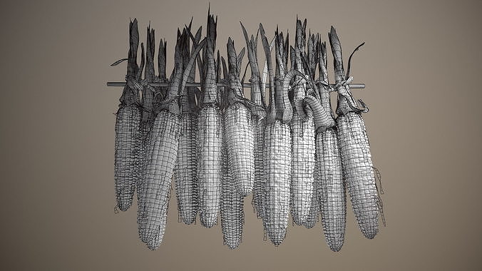 Multicolored Corn 3D model 6