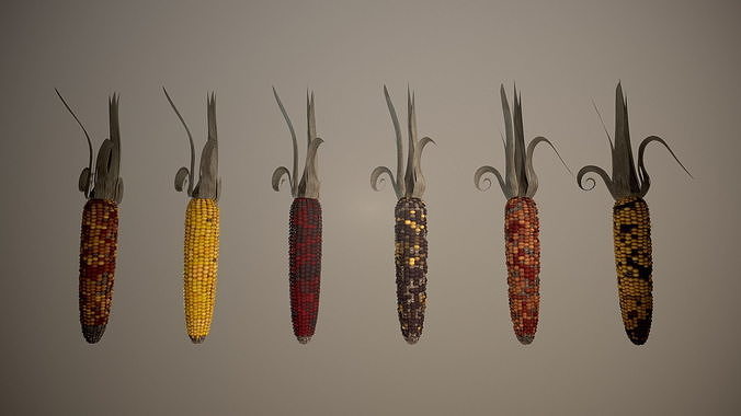 Multicolored Corn 3D model 2
