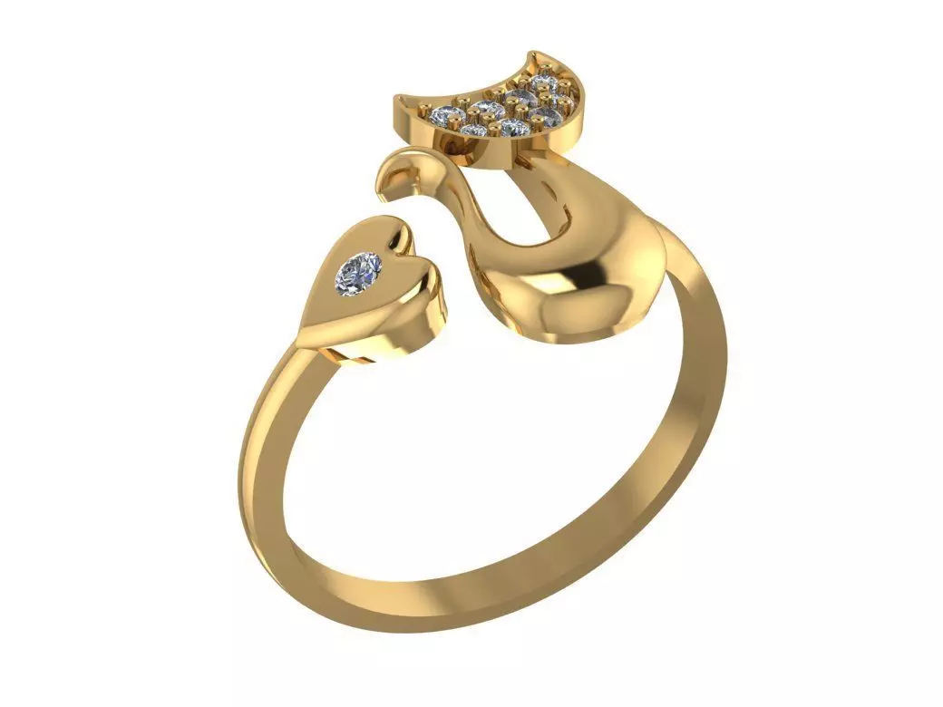 Fashion Ring 3D print model